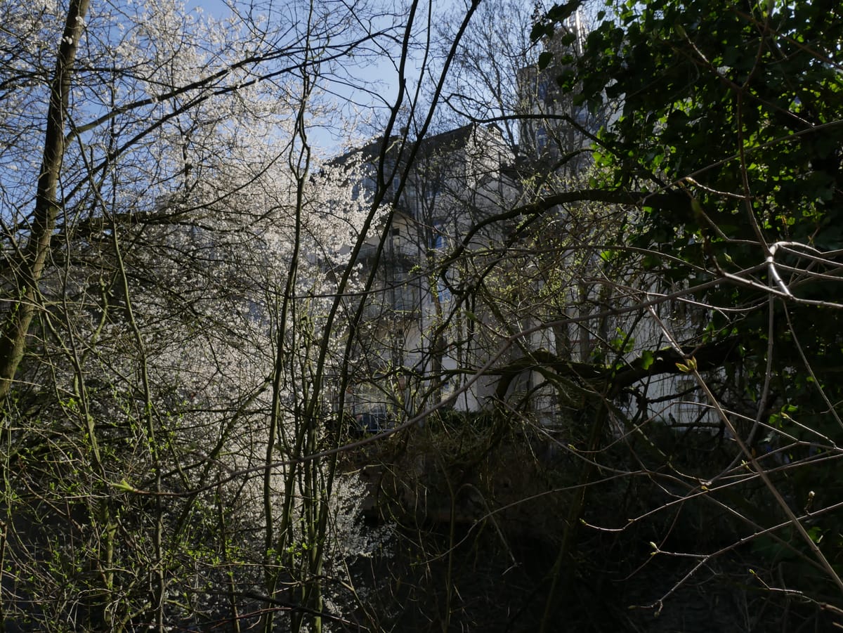 Der Flaneur - Newsletter #3 - 04/2025